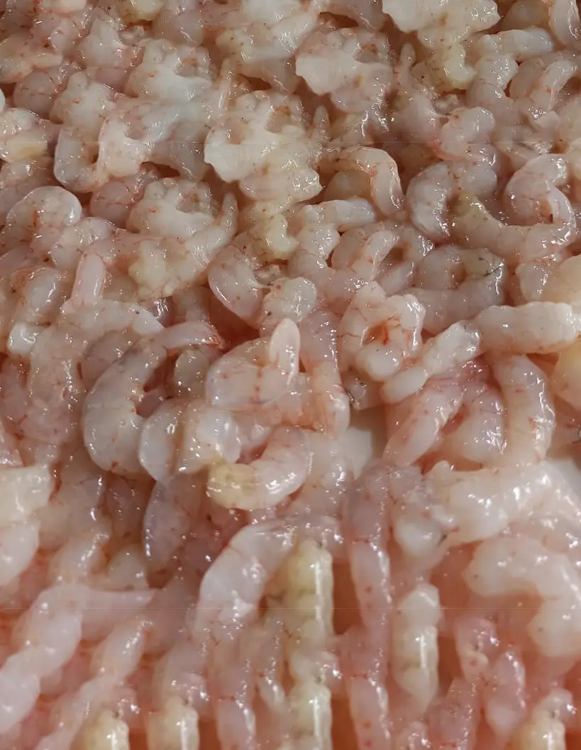 PUD DEEP SEA SHRIMPS frozen seafood from India with long experience supplying worldwide